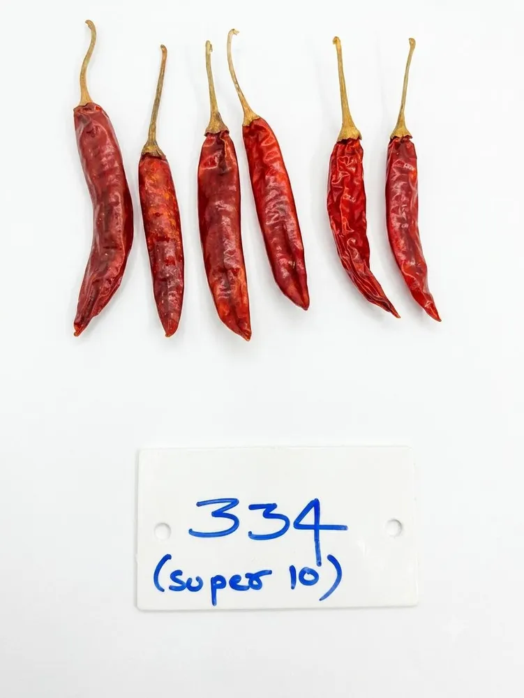 334 Guntur chilli