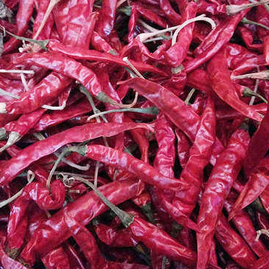 273 Guntur chilli
